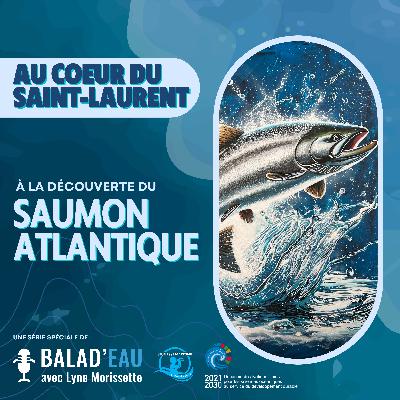 AU COEUR DU SAINT-LAURENT: à la découverte du SAUMON ATLANTIQUE