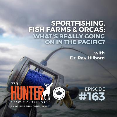 Sportfishing, Fish Farms & Orcas: What's Really Going On in the Pacific? || Ep. 163 Sportfishing, Fish Farms & Orcas: What's Really Going On in the Pacific? || Ep. 163
