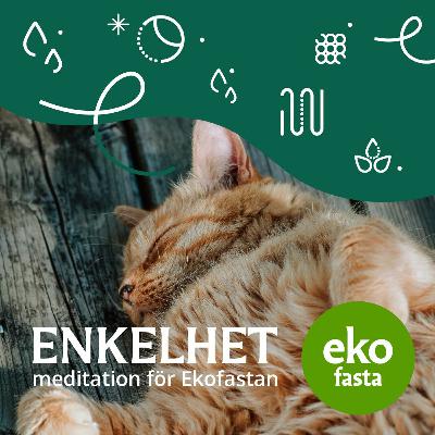 ENKELHET meditation för Ekofastan