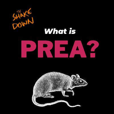 What is PREA?
