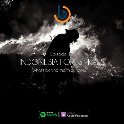 Ep. 10 Indonesia Forest Fires