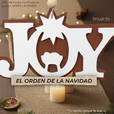 VIVE TU DISEÑO T39 E2 | "JOY" Otros VIVE TU DISEÑO T39 E2 | "JOY" Otros