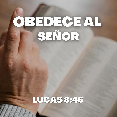 No Solo Le Llames Señor, Obedece a Tu Señor No Solo Le Llames Señor, Obedece a Tu Señor