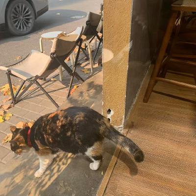 2026,有点想,成为慢性子的人