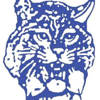 Columbus Wildcat Football