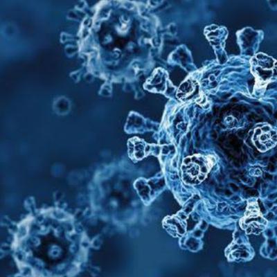 Virus Corona Adalah Guru Kehidupan