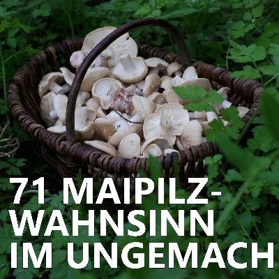 #71 Maipilzwahnsinn im Ungemach