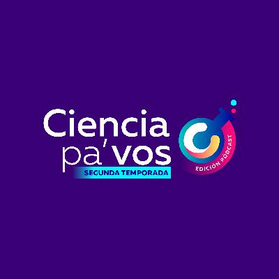 Transferencia para la eficiencia