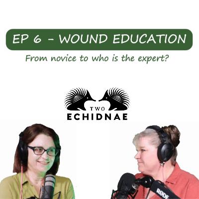 Ep6 - Wound Education, from novice to who is the expert?