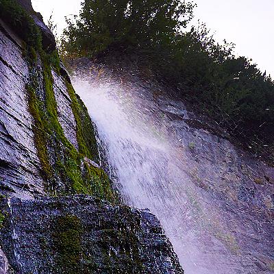 Western Life Radio's August 8, 2021 Sunday Edition