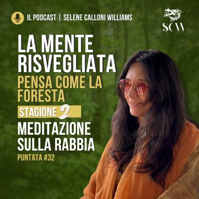 MEDITAZIONE SULLA RABBIA