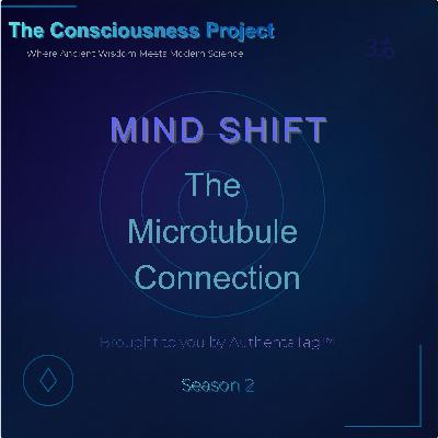 The Microtubule Connection The Microtubule Connection