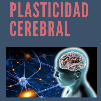 PLASTICIDAD CEREBRAL