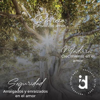 Armonía Original 4. Seguridad-madurez-pureza Armonía Original 4. Seguridad-madurez-pureza