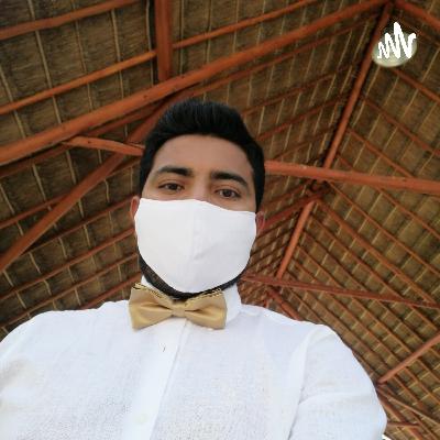 Conociendo Playa del Carmen 5 Conociendo Playa del Carmen 5