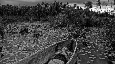 "Al oeste, en Zapata" "Al oeste, en Zapata"