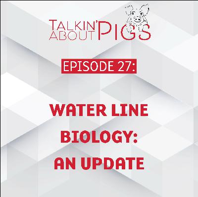 Water Line Biology: An Update