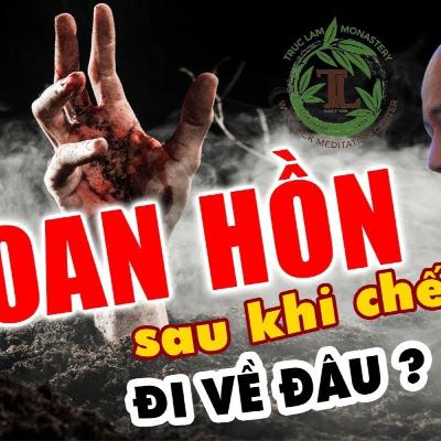 Sau khi chết Hồn Sẽ Đi Về Đâu? Vấn đáp Thầy Thích Pháp Hoà (rất hay)