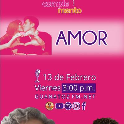 Complemento 13 De Febrero 2026