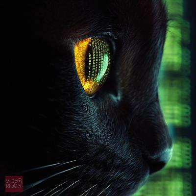 SerialThief.com | Chapter 6: Code in the Machine SerialThief.com | Chapter 6: Code in the Machine