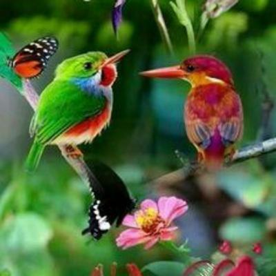 AME LIA ❤😃❤👀