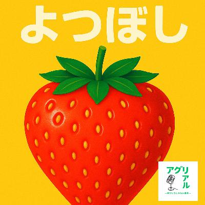 第41回 よつぼし の魅力 第41回 よつぼし の魅力