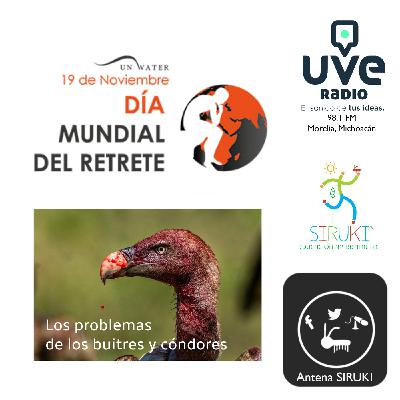 Programa 68-Día Mundial del Retrete, Problemas de Buitres y Cóndores.