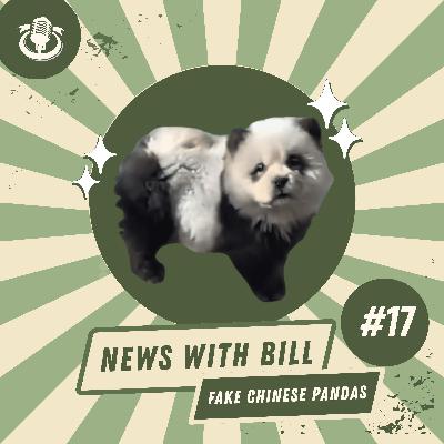 017: Fake Chinese Pandas