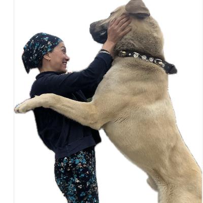 İnsanın içine seyahati midir tarlayı sürmek