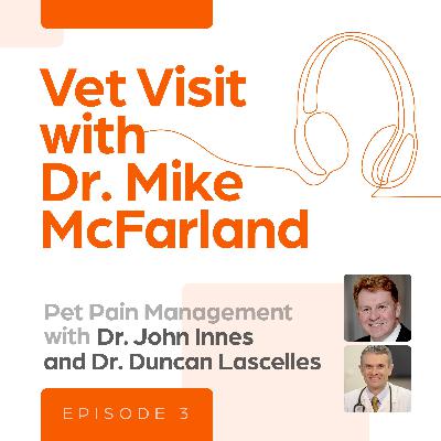 Pet Pain Management with John Innes and Duncan Lascelles Part Two