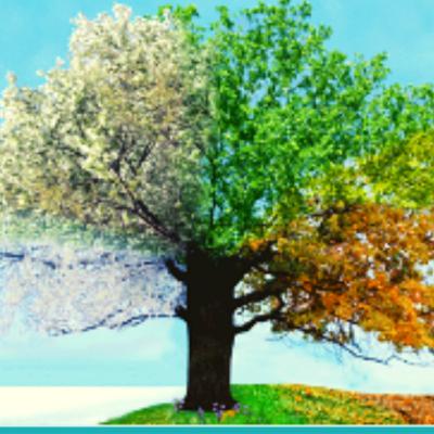 Let the trees remind us.