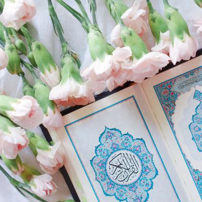 صفحه ۱۷۵ قرآن کریم