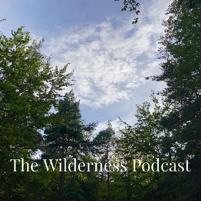Episode IX Pt. IV - Stewardship