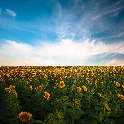 6. சுற்றுப்புற சூழல்