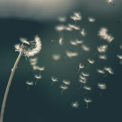 Rethinking vulnerability as strength Rethinking vulnerability as strength