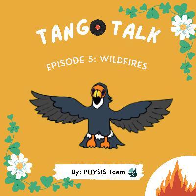 CALIFORNIA WILD FIRES- QUICK INFO