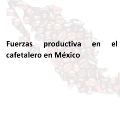 Crisis cafetalera y migración