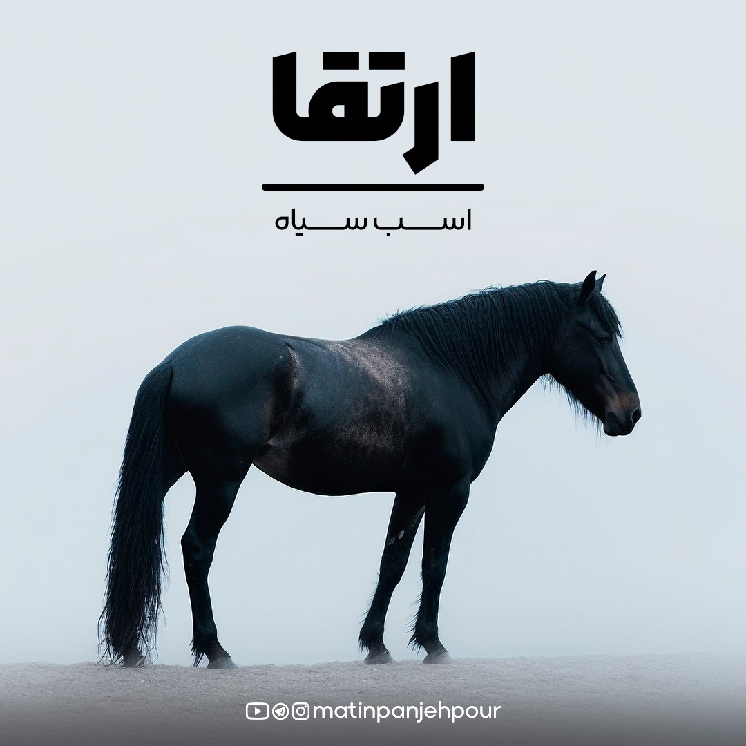 کتاب اسب سیاه | اثر تاد رز و اگی اگاس