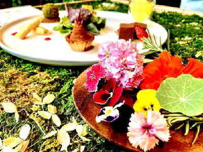 サウナ上がりに花を食べる！ おふろcafe ハレニワの湯「食べるフラワーガーデン」レポート Part1 from Radiotalk