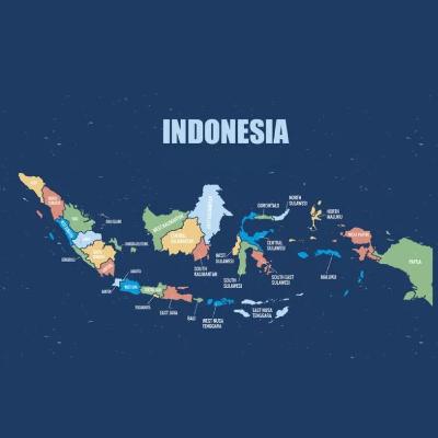 Bab 1 Menelusuri Peradaban Awal di Kepulauan Indonesia (bagian D).