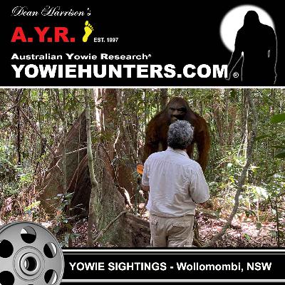 Yowie Sighting at Wollomombi, New South Wales - 1993