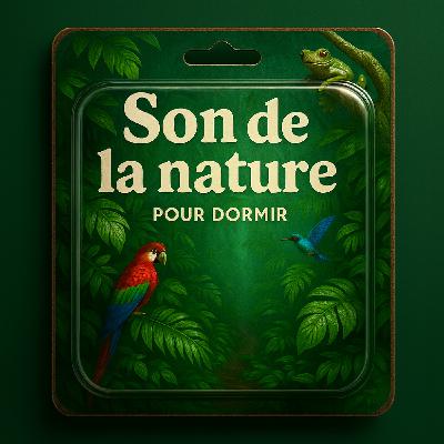 1 H Bruit Blanc pour DORMIR | son de la nature contre l'insomnie 1 H Bruit Blanc pour DORMIR | son de la nature contre l'insomnie