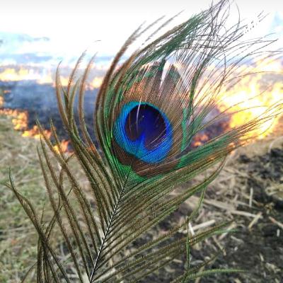 Chetan bhagat novels