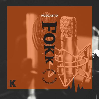 2.2. Snjódrífur fullar af lífskrafti á Vatnajökli