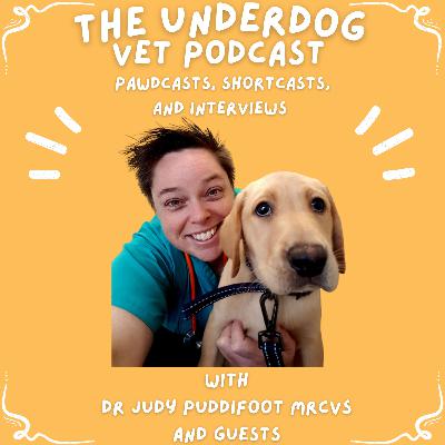S1: E12 - Dr Clare Rusbridge BVMS PhD DipECVN MRCVS - Veterinary Neurologist