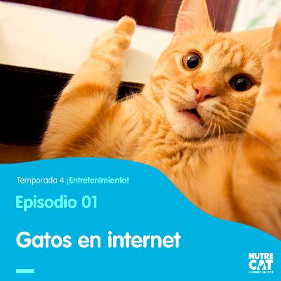 Breaking the internet.