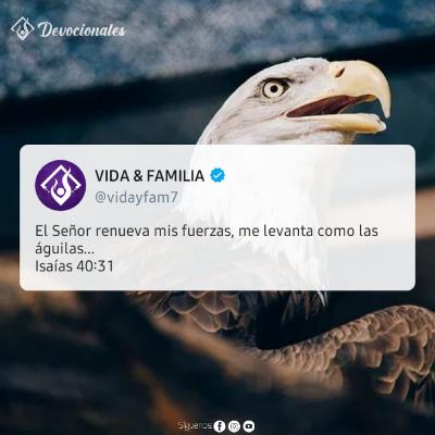 Renovados en la Intimidad