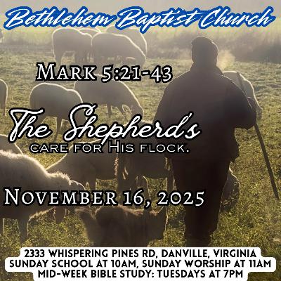 Mark 5:21-43, The Shepherd’s care for His flock. Mark 5:21-43, The Shepherd’s care for His flock.