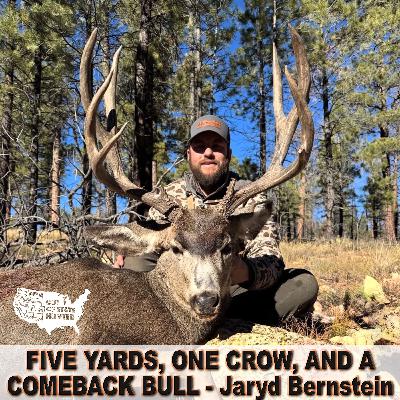 Five Yards, One Crow, and a Comeback Bull – Jaryd Bernstein