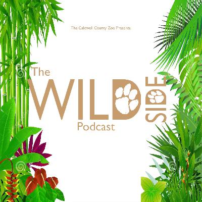 Ep. 19: The Wild Side Pilot (feat. George LaBour & Matt Hession)